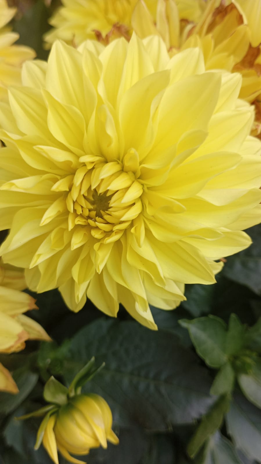 The trick to getting more done is to have the freedom to roam around